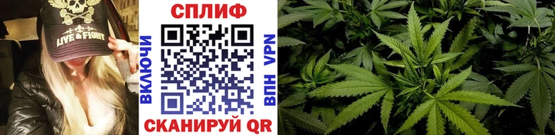 Конопля план  Купить где  Горячеводский 